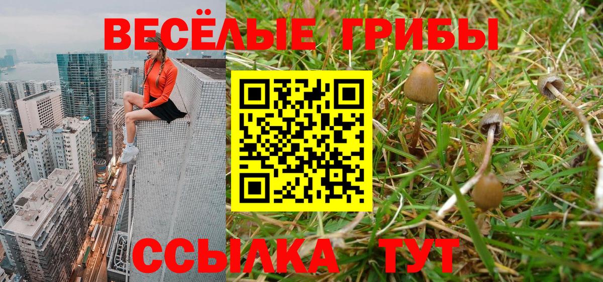 Псилоцибиновые грибы Psilocybine cubensis Советск