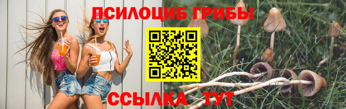 Советск  Псилоцибиновые грибы мухоморы  Вход с VPN 